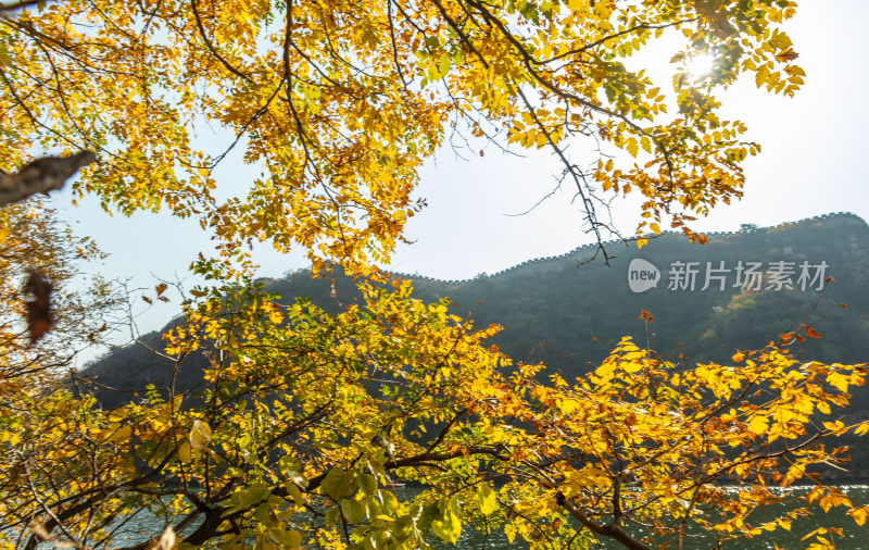 北京黄花城水长城秋季风光