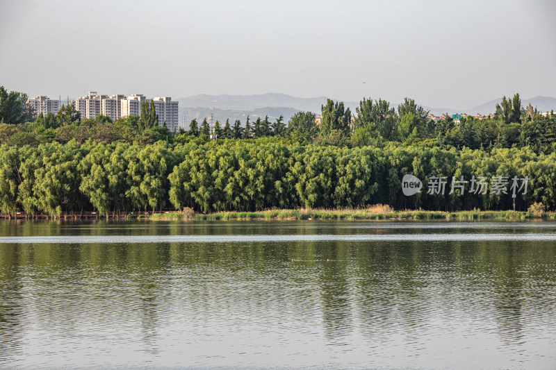 河南三门峡陕州公园天鹅湖景点景观