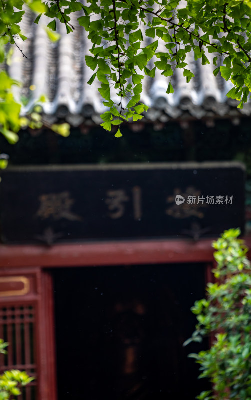 洛阳白马寺景点景观佛教文化