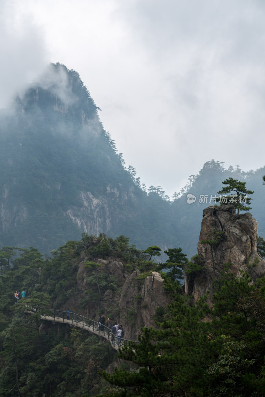 云海中的大明山