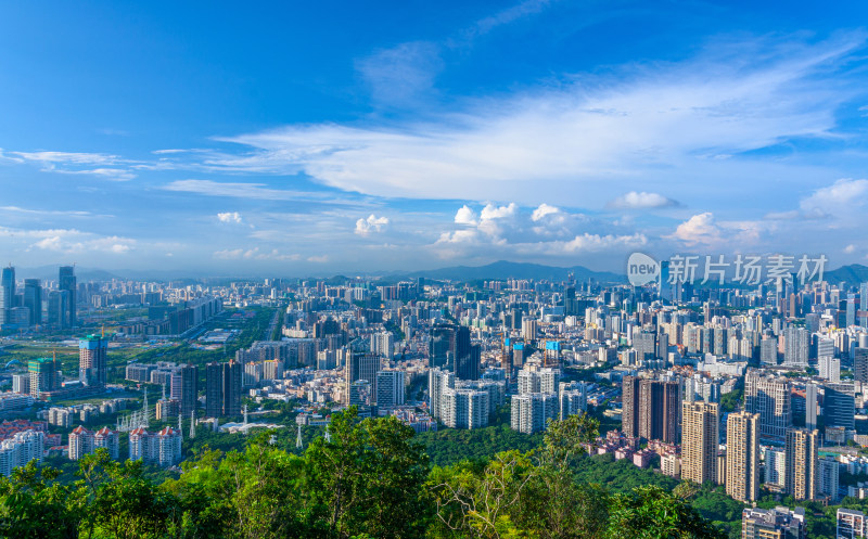 深圳南山公园望城市CBD摩天大楼建筑全景