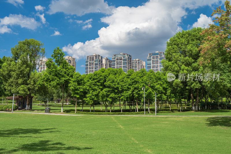 重庆中央公园绿色大草坪与周围的住宅建筑