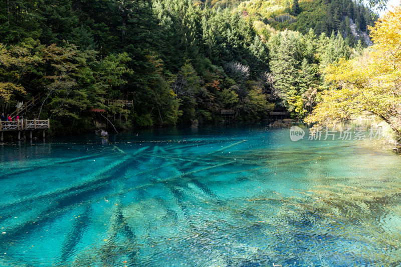 九寨沟五花海