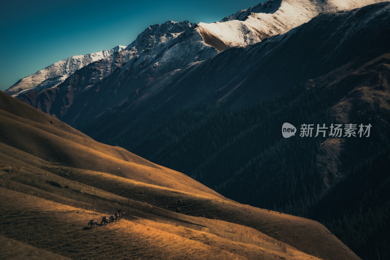 新疆天山山脉雪山河谷牧场自然风景