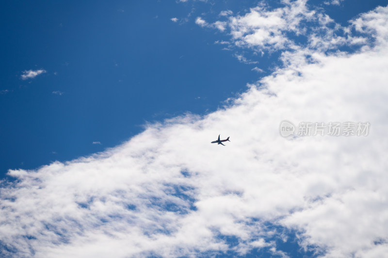 晴空云端翱翔的飞机