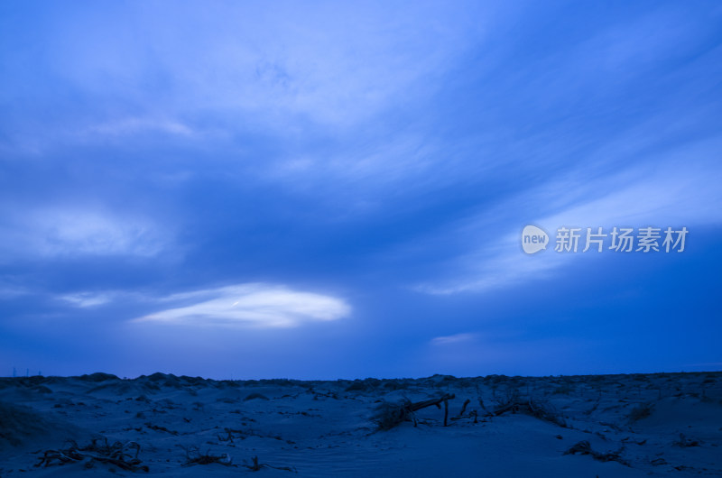 内蒙古额济纳旗黑城弱水胡杨风景区沙漠