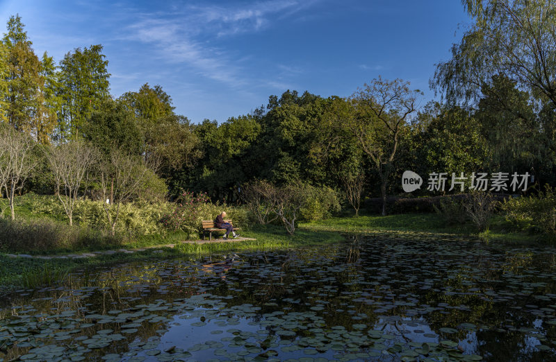 杭州西子湖畔杭州花圃风景