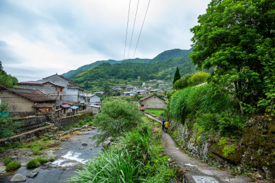 乡村风景