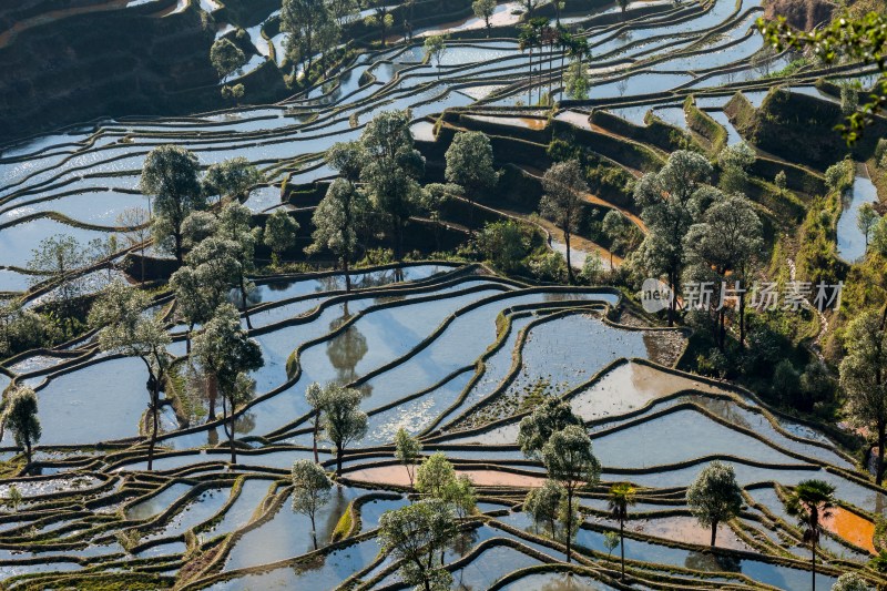 中国云南省万峰林梯田