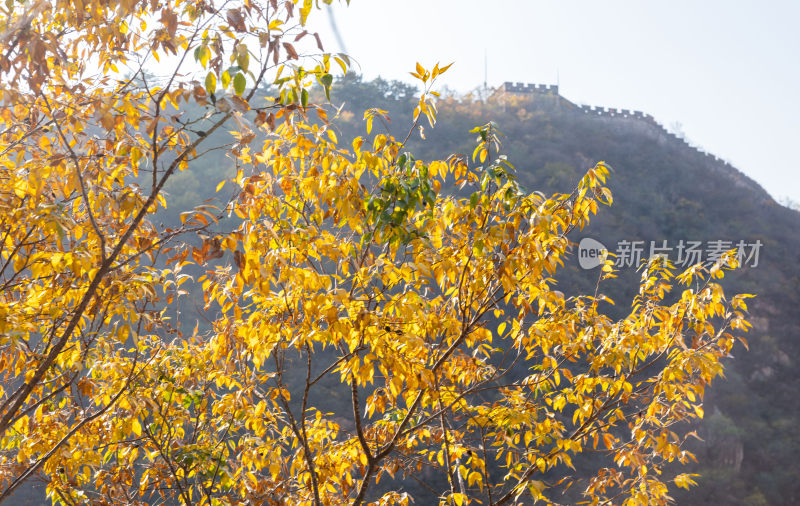 北京黄花城水长城秋季风光