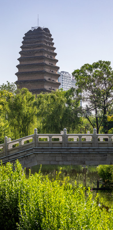 陕西西安小雁塔遗址公园西安博物馆景点景观