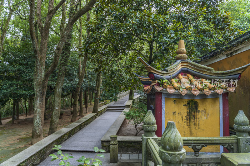 浙江普陀山梅福禅院风光