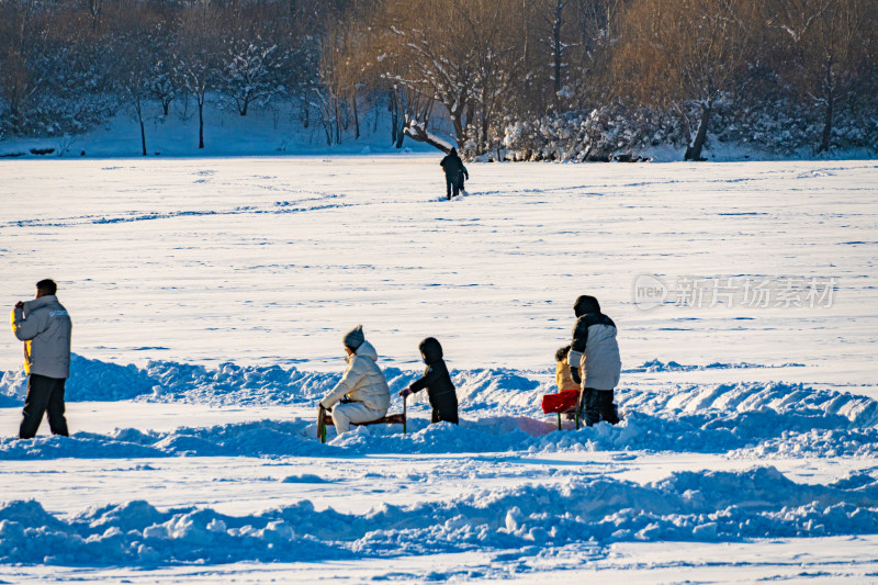 丁香湖公园内人们玩雪橇的欢乐场景