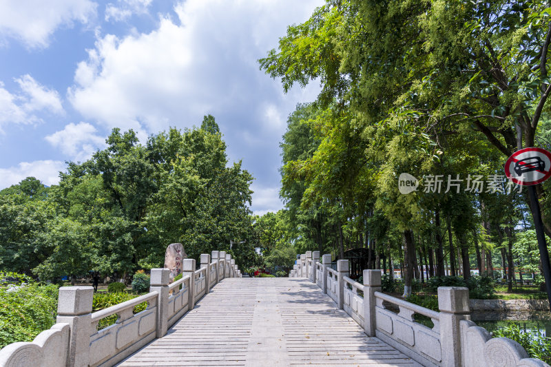 武汉江汉区中山公园风景