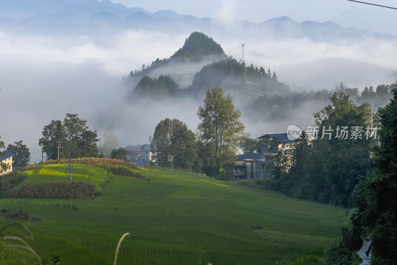 重庆酉阳：丁市初秋风景（一）