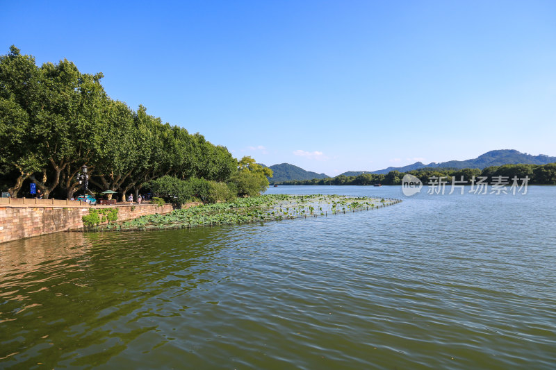 浙江杭州西湖景区苏堤风光