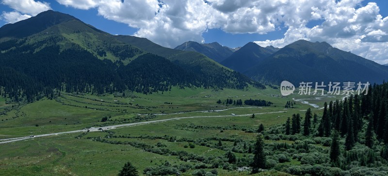 青山绿野间的公路风景