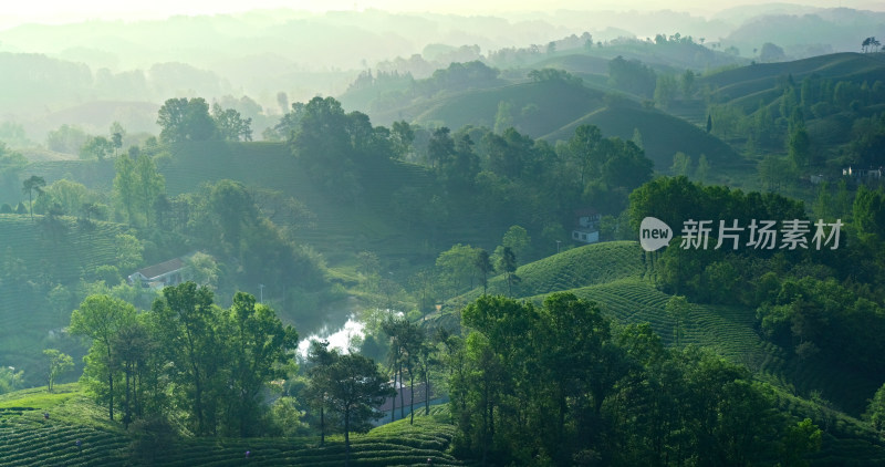 茶园茶山美丽乡村