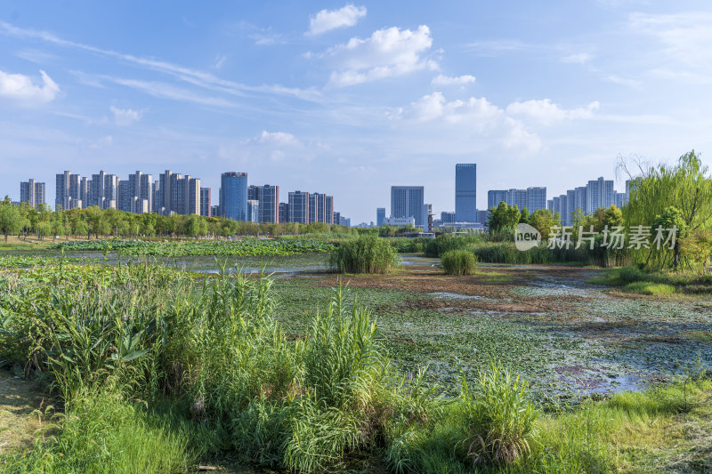 武汉江夏中央大公园风景