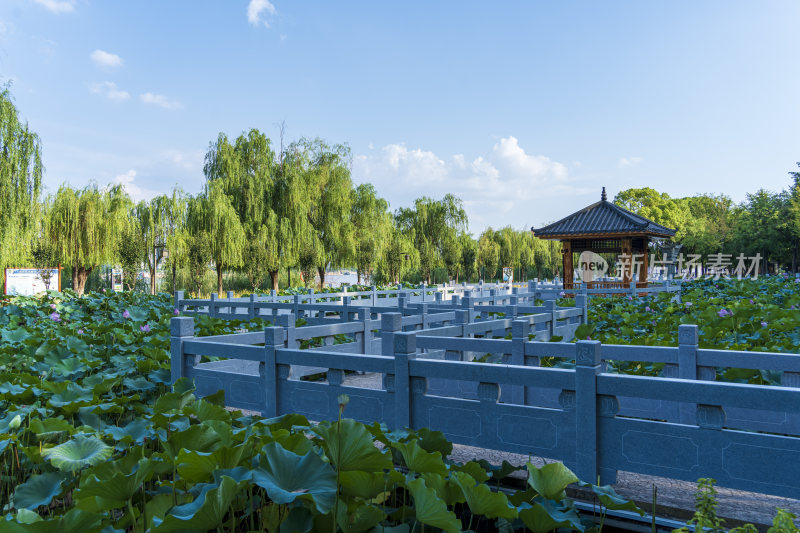 杭州汉阳区汉阳江滩公园风光