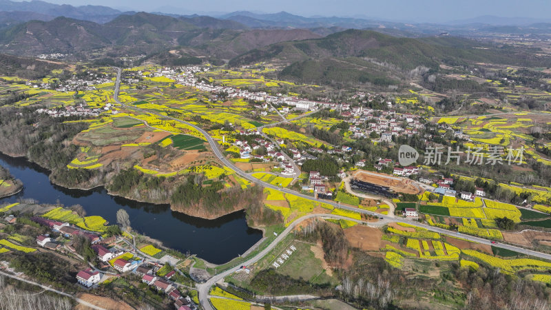 航拍汉中市洋县油菜花田乡村振兴