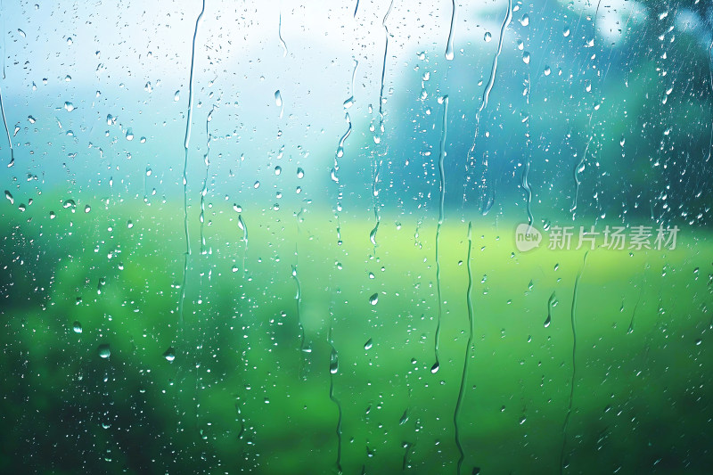 自然风景植物背景雨水