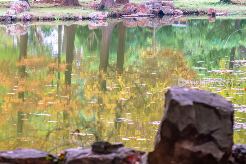 南京钟山风景名胜区明孝陵园林风景