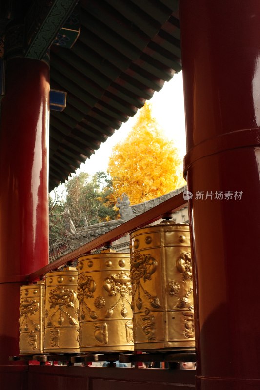 西安藏传寺庙广仁寺内部景观