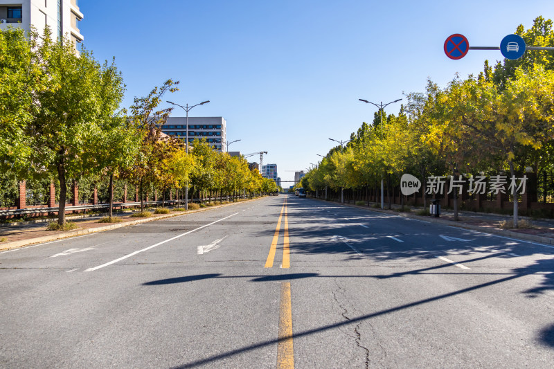 城市道路的宁静之美