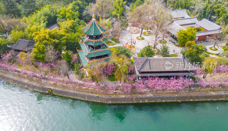 四川成都望江楼古建筑春天樱花园林风景