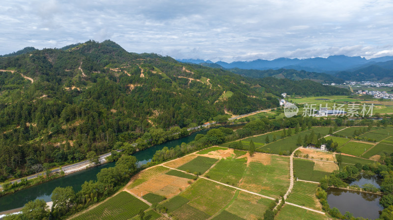 航拍武夷山绿色农田与茶园