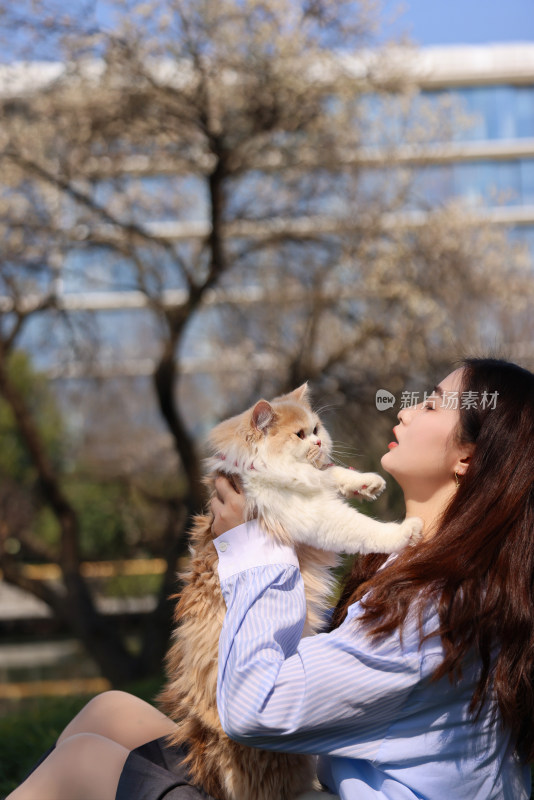 杭州阿里巴巴西溪园区美女与猫的温馨互动