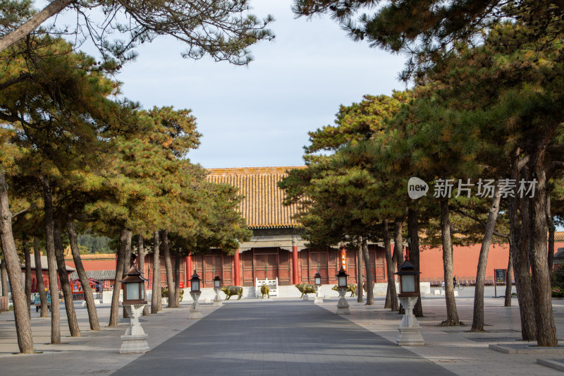 北京故宫博物院秋景