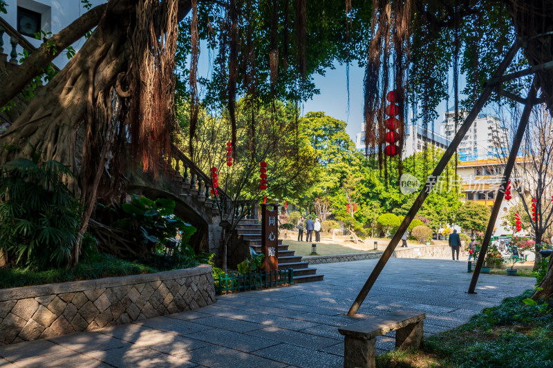 福州春天绿意盎然的冶山春秋公园景色