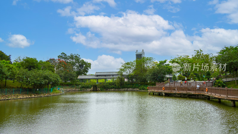 深圳簕杜鹃谷公园自然风景