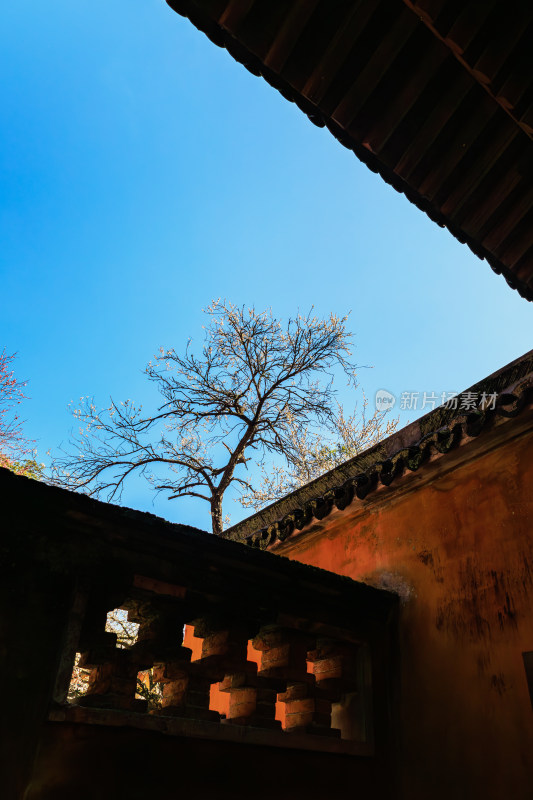 红墙古建筑与蓝天树木景致