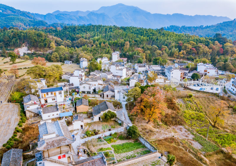 深秋安徽黄山市塔川秋色风光