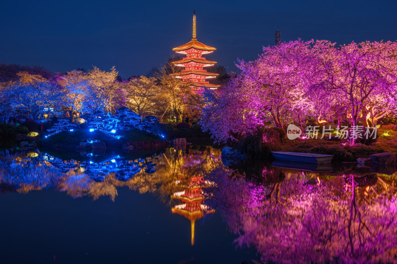 湖北武汉东湖樱园春季夜景风光