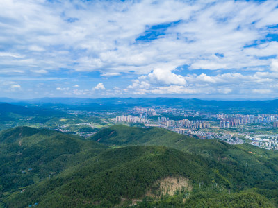 祖国大好河山绿色森林植物航拍图