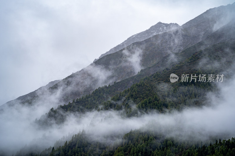 四川阿坝藏族羌族自治州四姑娘雪山风貌