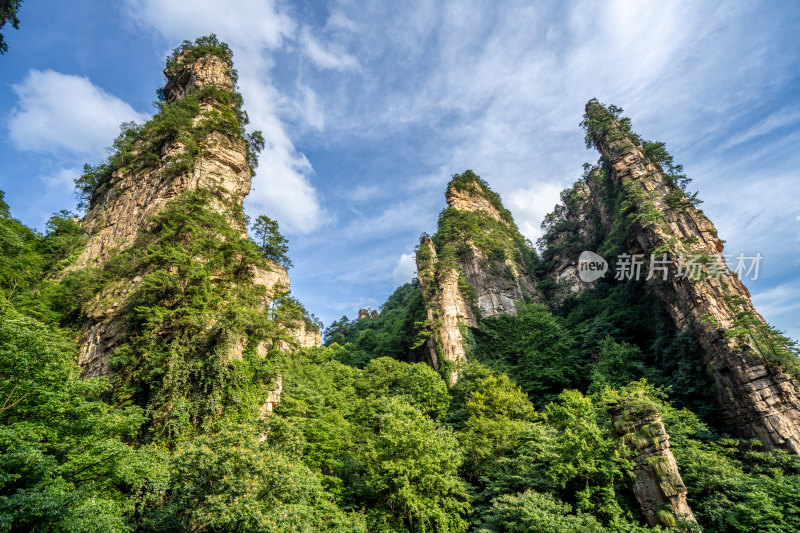 中国湖南张家界景区奇特山峰与茂密森林