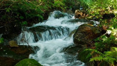 东北长白山森林里的溪流