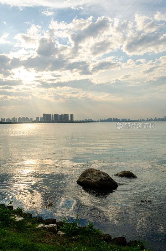 城市天际线下的湖泊及水中石块景象