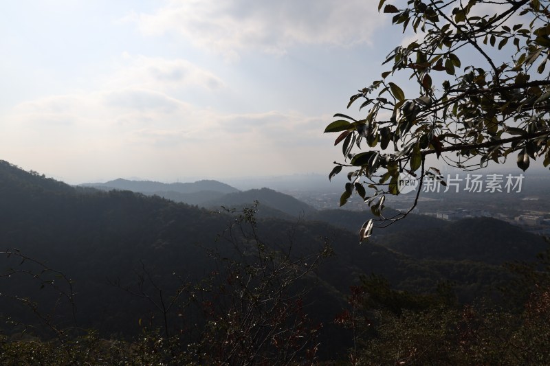 山峦远景与枝叶景观