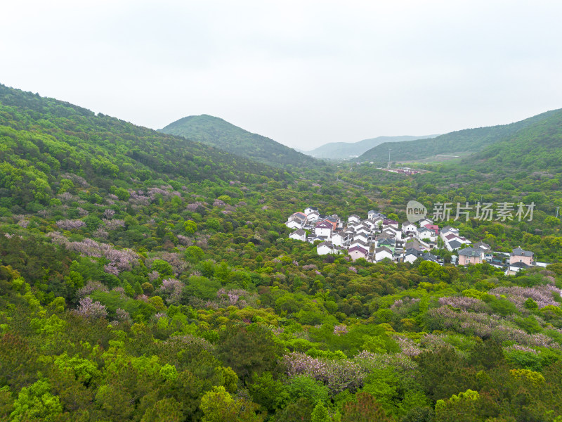 苏州光福，太湖边的村落，山间的绿树与晚樱