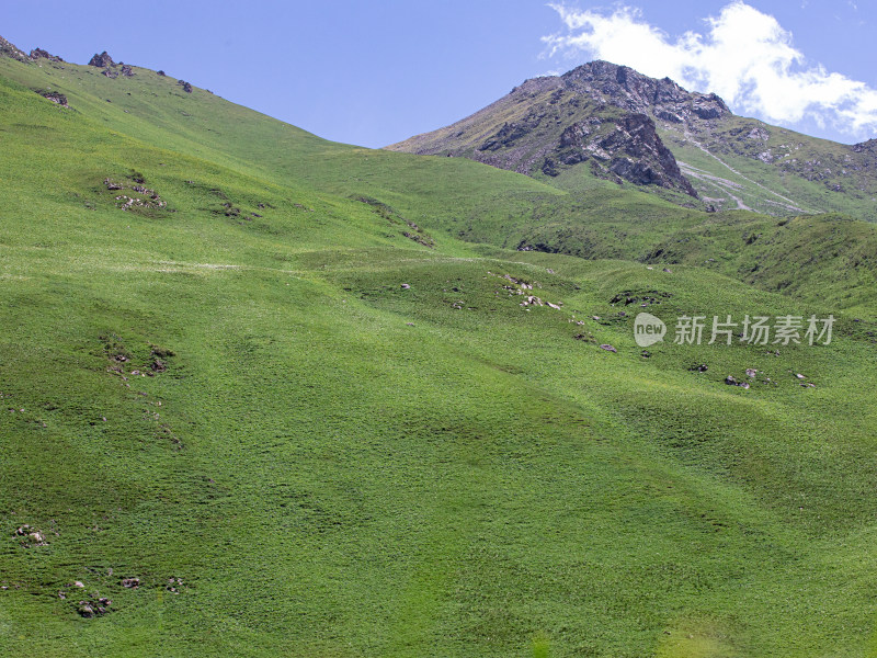 蓝天白云下的一大片绿色草地的自然风景