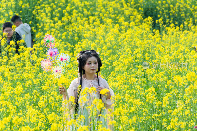 福州花海公园市民在油菜花田里拍照