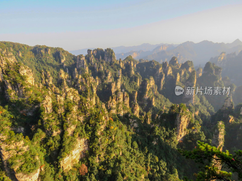 中国湖南张家界国家森林公园旅游风光