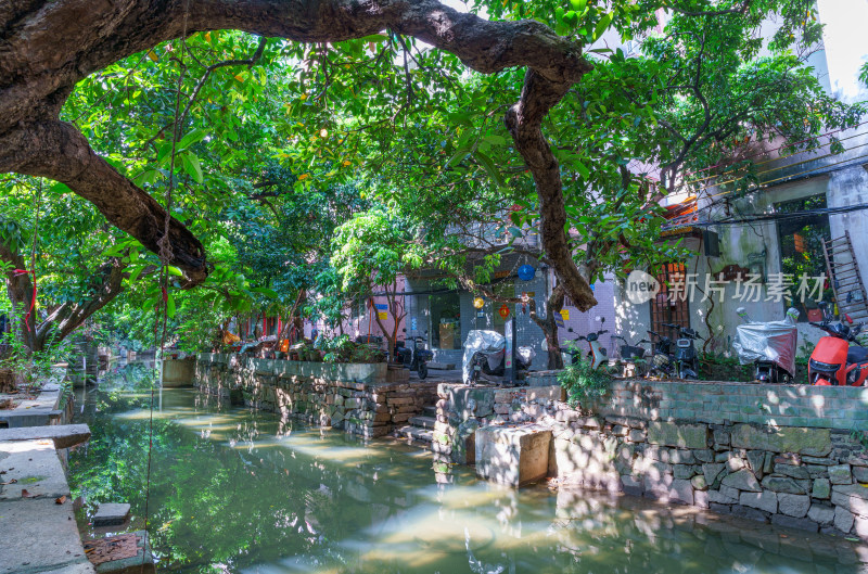 广州海珠小洲村河涌水道与绿树街道景观