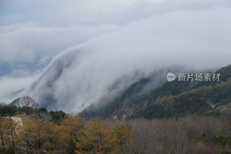 云海 山峰 山峦 山东 泰山